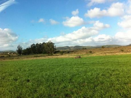 Campo Con Buenos Suelos