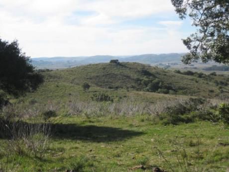 Campo A Pocos Kms. De Pueblo Eden