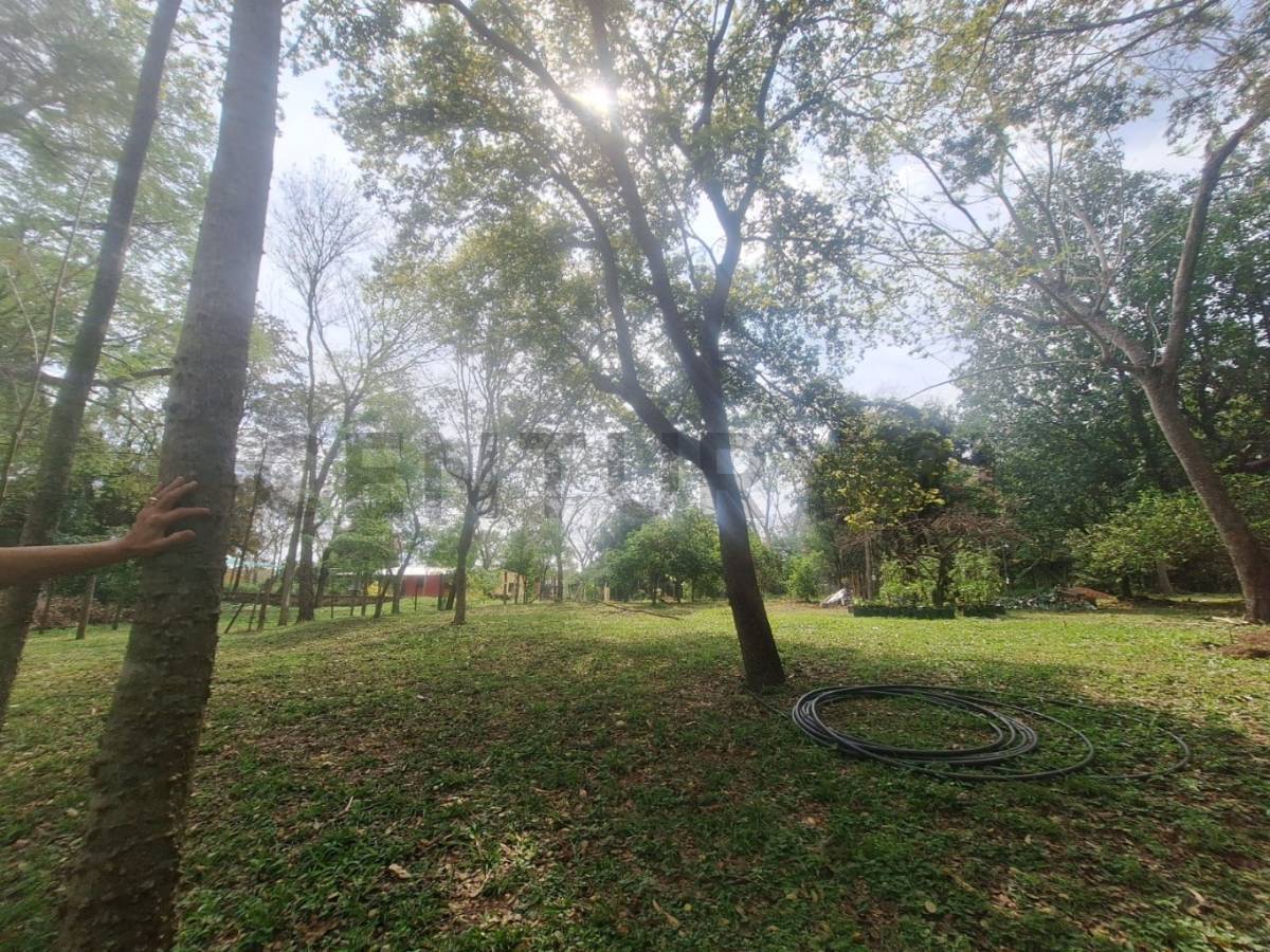 Hermoso terreno con arroyo caacupe , Caacupé, Cordillera — foto 3