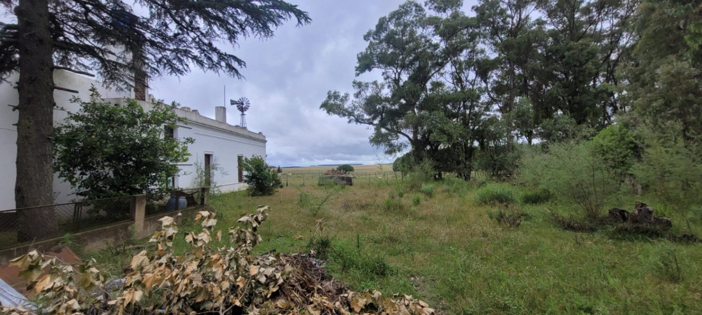 Casa en alquiler de 5 dormitorios c/ cochera en Sarandí del Yi · Foto 7