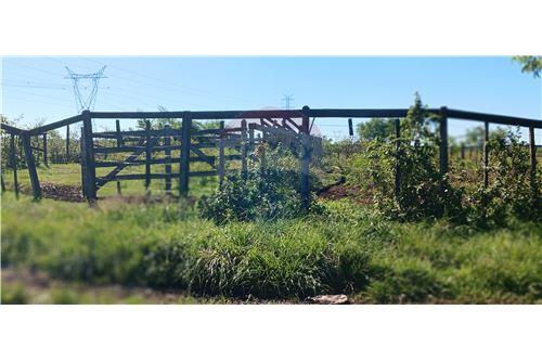 Terreno-Venta-PY Cordillera Tobatí  Aparypy  Tobati — foto 3