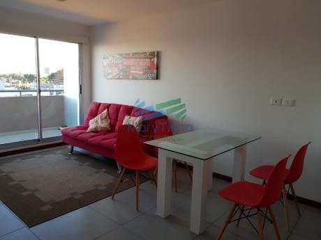 Oportunidad!!! Apartamento De 1 Dormitorio En Venta En Malndonado.