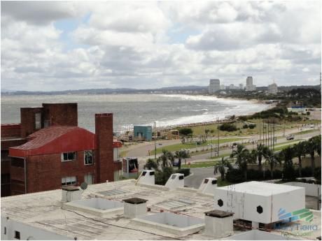 Apartamentos En Playa Mansa