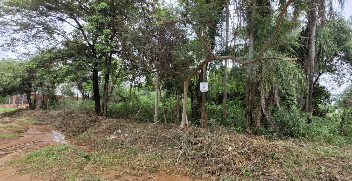 Terreno en San Bernardino zona Ciervo Cua — foto 3