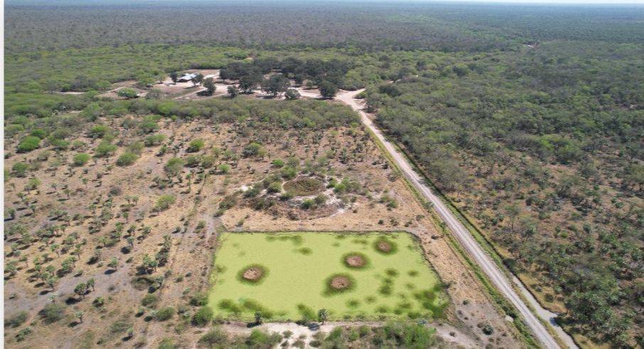 Estancia Ganadera. Zona Montelindo Chaco. 10.800 Has — foto 2