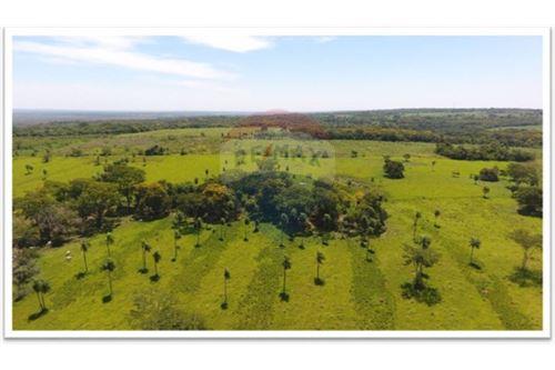 VENDO CAMPO/ESTANCIA EN ARROYOS Y ESTEROS — foto 3