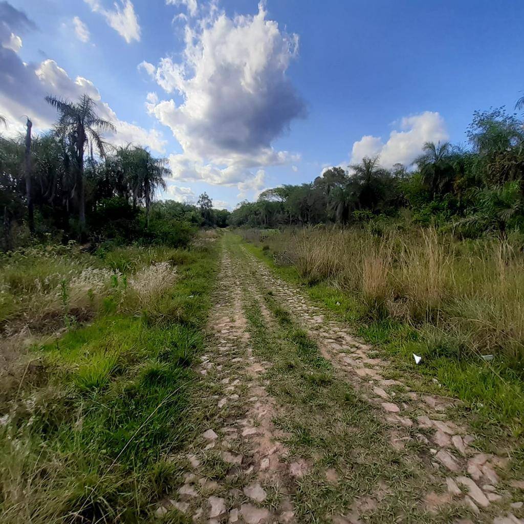 EN VENTA LOTE EN SAN BERNARDINO - CIERVO KUA — foto 3
