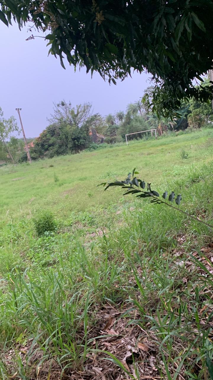VENDO PROPIEDAD DE 3692 m2 EN LUQUE SEGUNDO BARRIO — foto 2