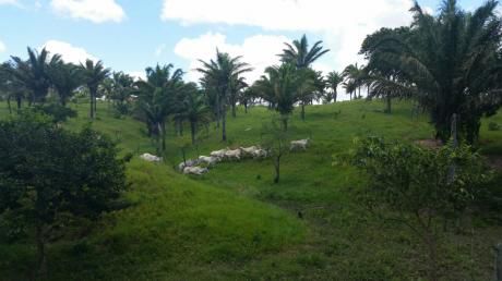 Terreno En Venta La Belgica !!