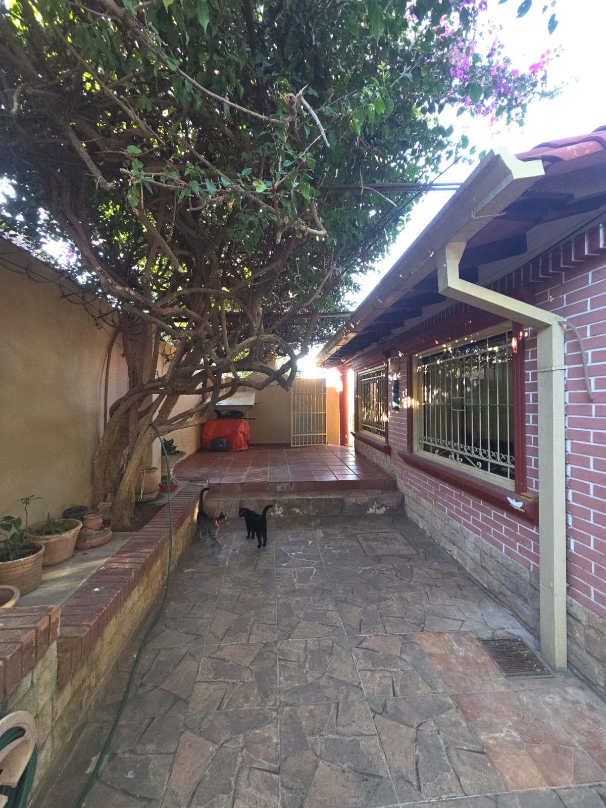 Casa en venta en Obrero