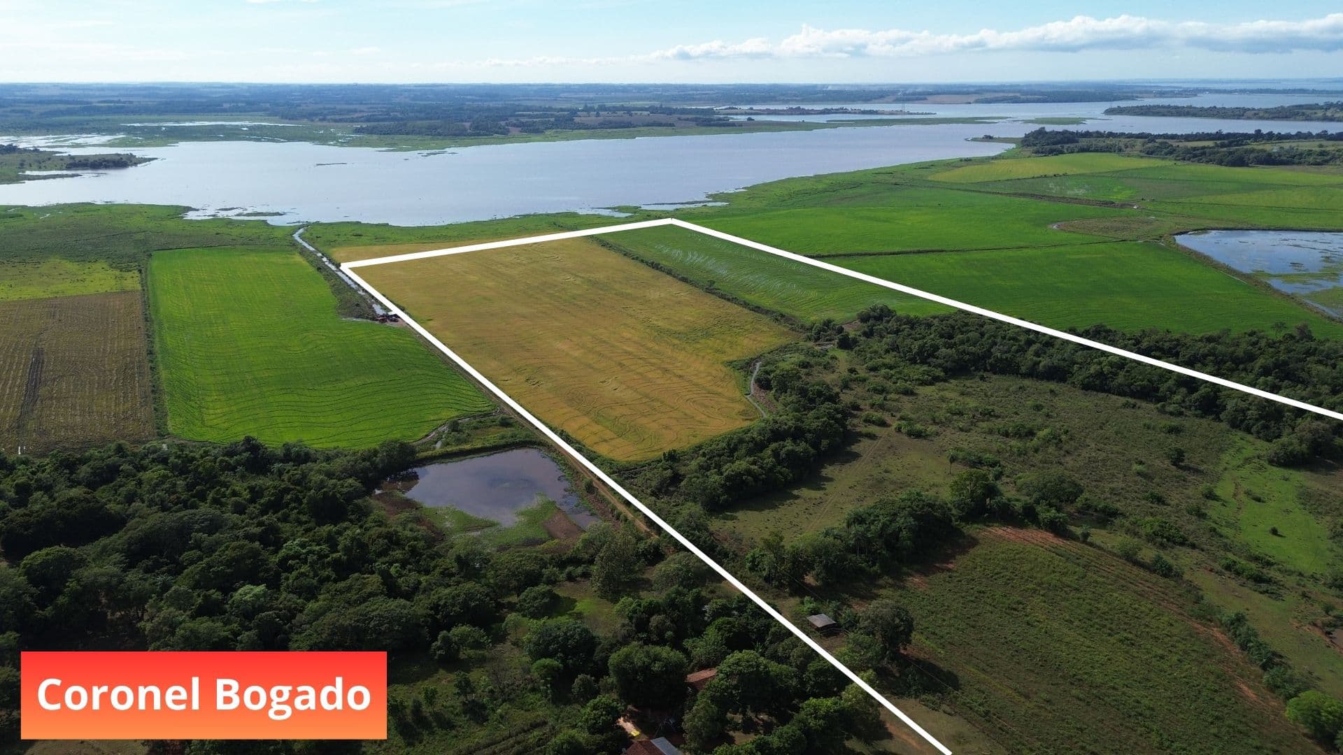 Espectacular Campo a la Venta de 34 Has – Coronel Bogado. — foto 2