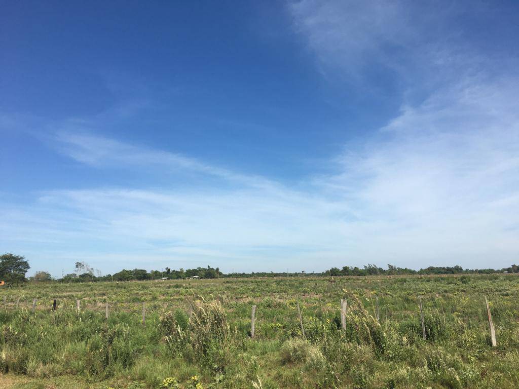 CAMPO EN VENTA ,19 HECTÁREAS, CON GRAN POTENCIAL PRODUCTIVO EN ABAÍ, CAAZAPÁ — foto 3