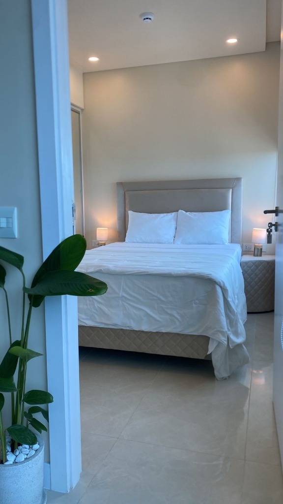 ALQUILO LUJOSO DEPARTAMENTO AMOBLADO EN LA TORRE EMINENT - ASUNCIÓN — foto 3