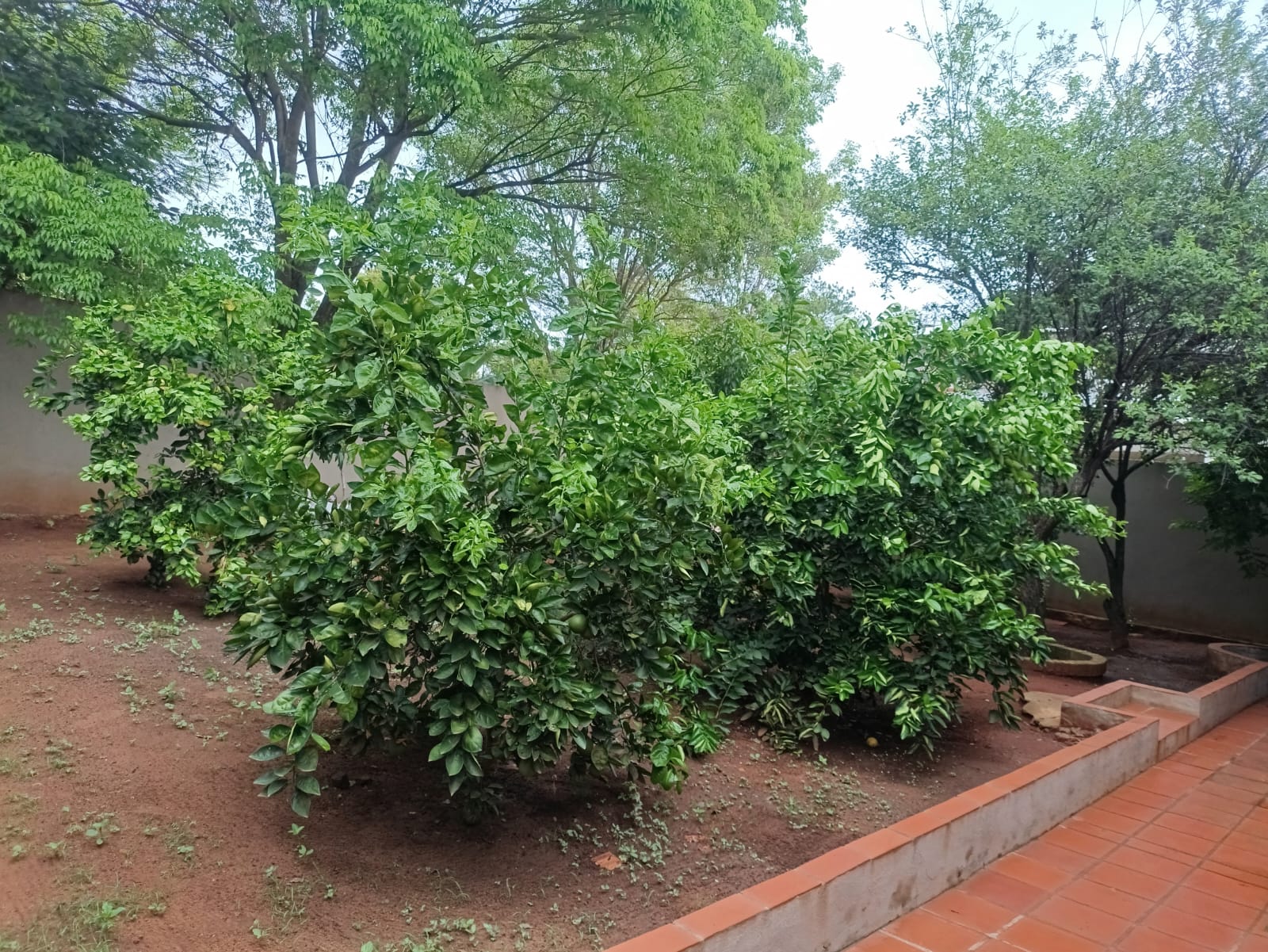 vendo casa quinta en Aguayty -Eusebio Ayala — foto 2