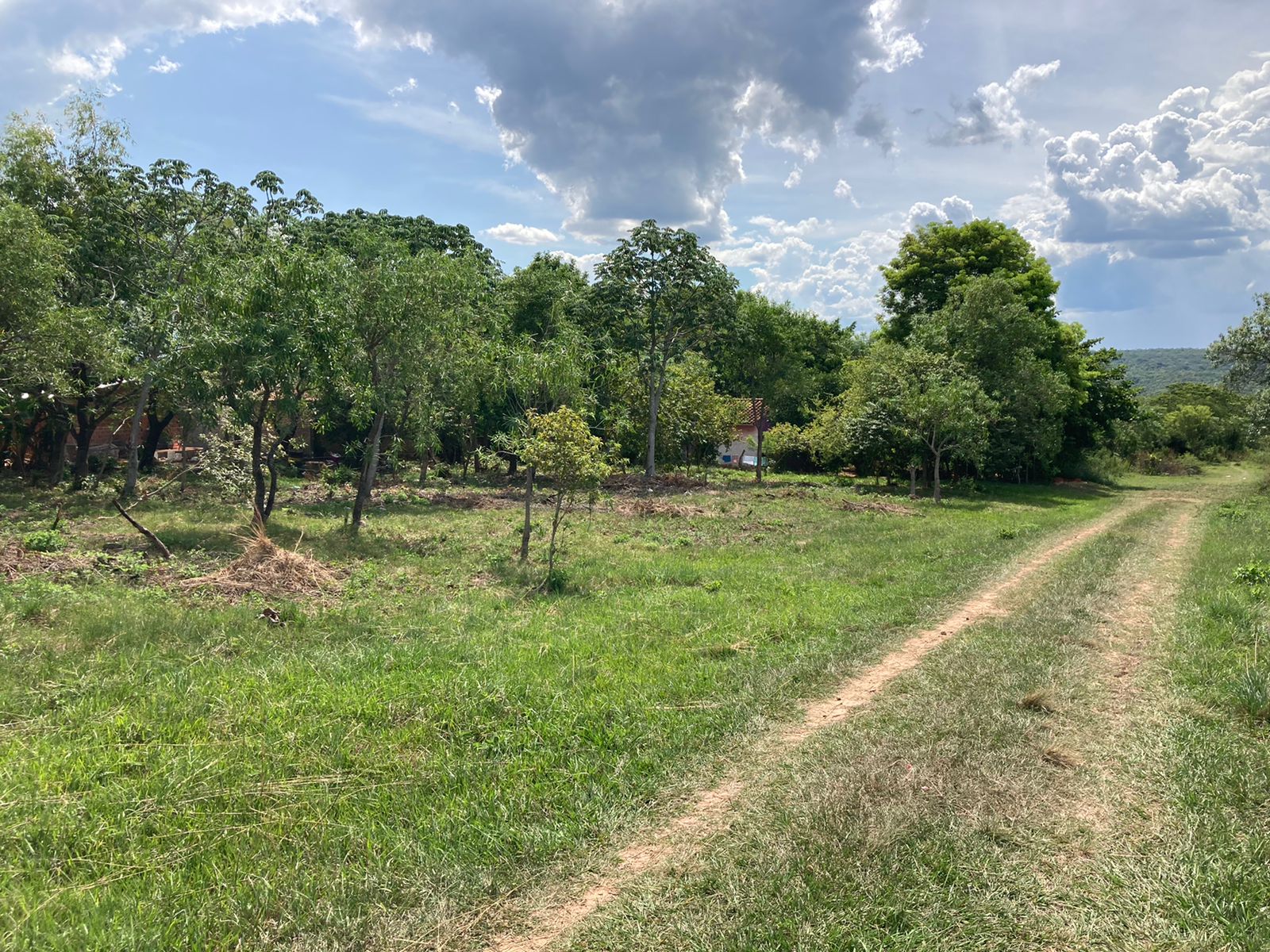 VENDO 4 TERRENOS JUNTOS EN ALTOS — foto 3