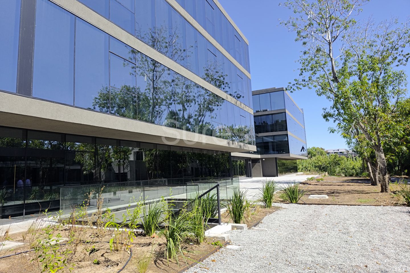Alquiler de oficina, Carrasco