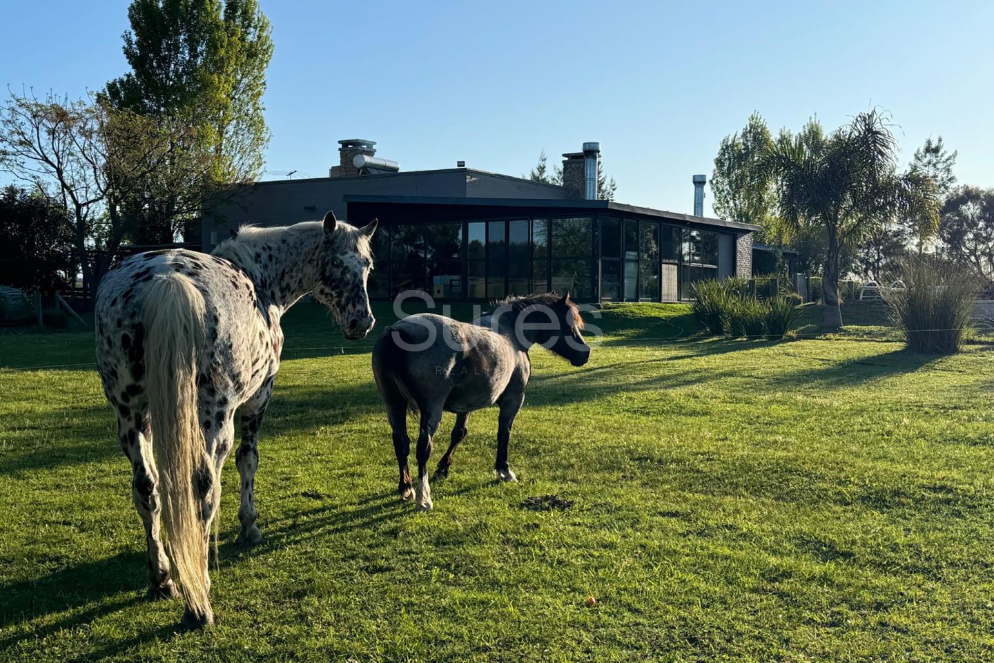 Alquiler de chacra de 4 dormitorios en la Tahona · Foto 1