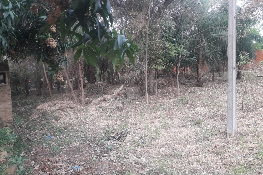 Terreno-Venta-Guillermo Neumann, Isla Alta, Emboscada, Cordillera — foto 3