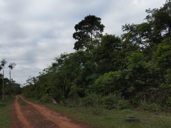 PROPIEDAD RURAL EN NUEVA COLOMBIA, COMPAÑIA INGLES CUE — foto 3