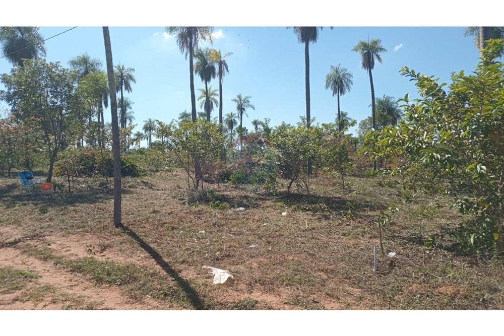 TERRENO EN VENTA EN LOMA GRANDE — foto 3