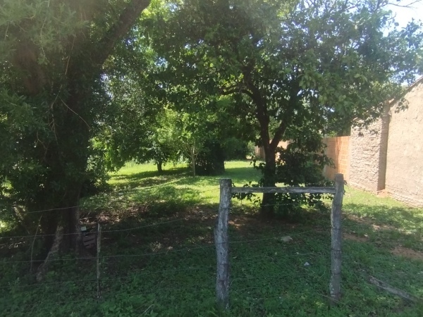 Vendo Terreno en la Cuidad de Nueva Italia — foto 3