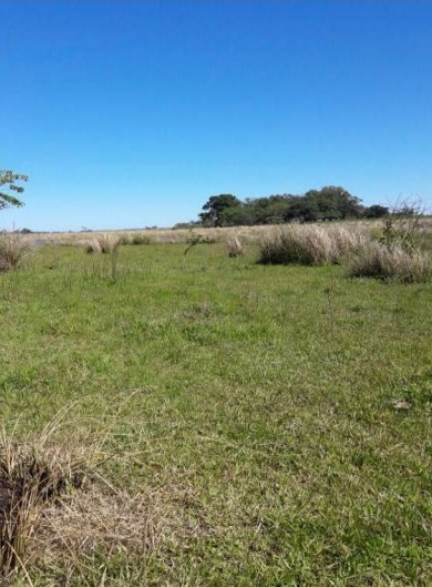 Vendo Terreno de 6565 has en Yabebyry-CLLA4938135 — foto 2
