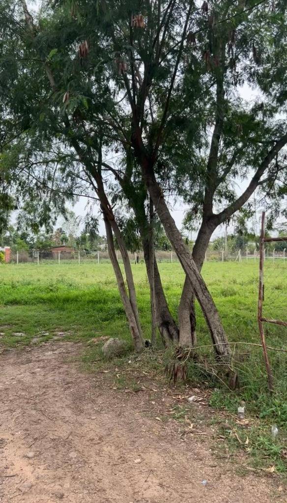 ALQUILO TERRENO SOBRE AV PRINCIPAL EN SANBER — foto 2