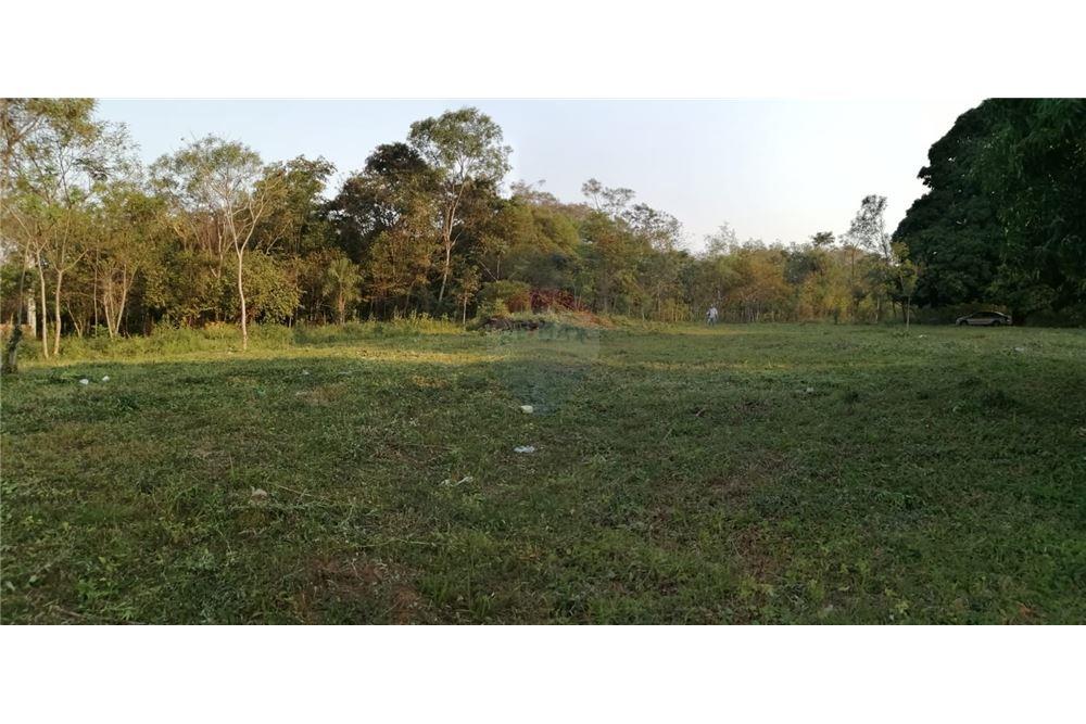 TERRENO EN EUSEBIO AYALA SOBRE RUTA 2 — foto 3