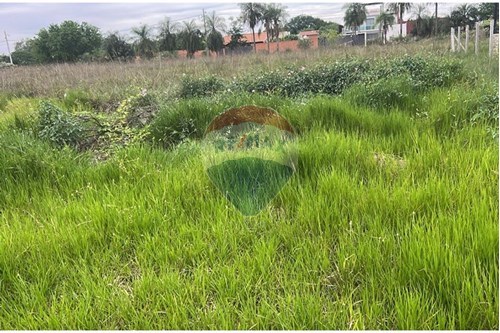 Terreno - Venta - San Bernardino, Cordillera, Paraguay — foto 3