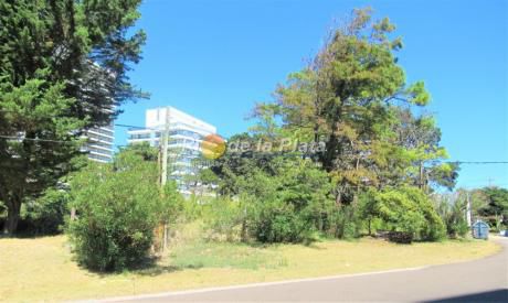 Terreno En Aidy Grill - Pda 6