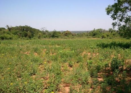 Alfa Inmobiliaria Vende Terreno En Luque A 6 Km Del Centro 1.2ha