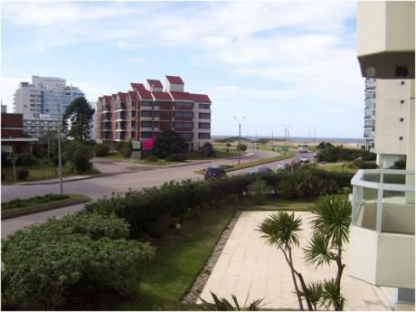 Apartamentos En Playa Brava
