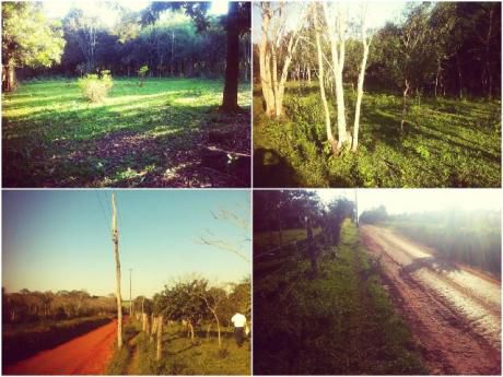 6 Ha En Venta En J.L.mallorquín
