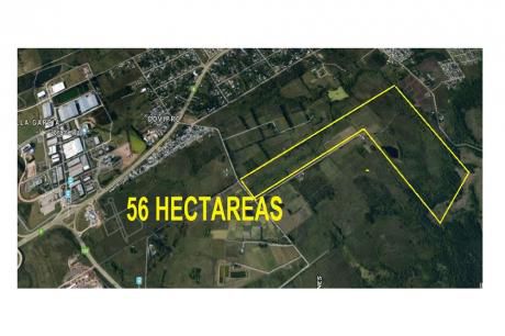 56 Hectareas Próximo Zonamerica - Ideal Inversion