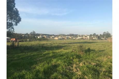 Oportunidad, 5000 M2 En Chacras De La Tahona
