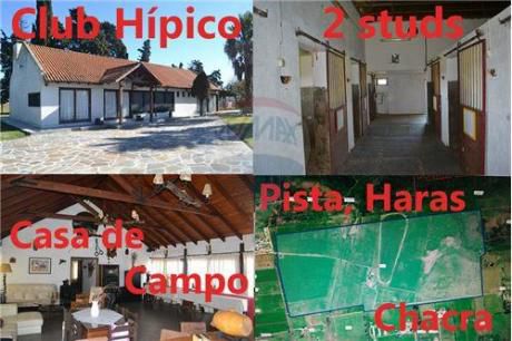 Chacra 127 Hectáreas Con 4 Casas, 2 Studs Y Pista