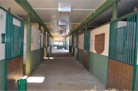 Venta De Haras Exclusivo Casa Y Campo Cerrillos