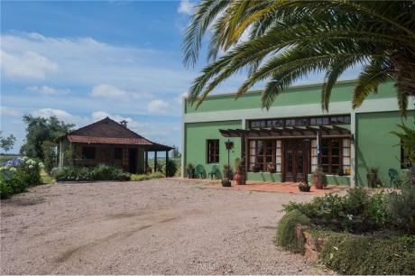 San Jacinto - Olivos Y Hotel Boutique - 34 Hts.