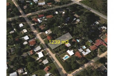 Venta Terreno - Pinar Sur
