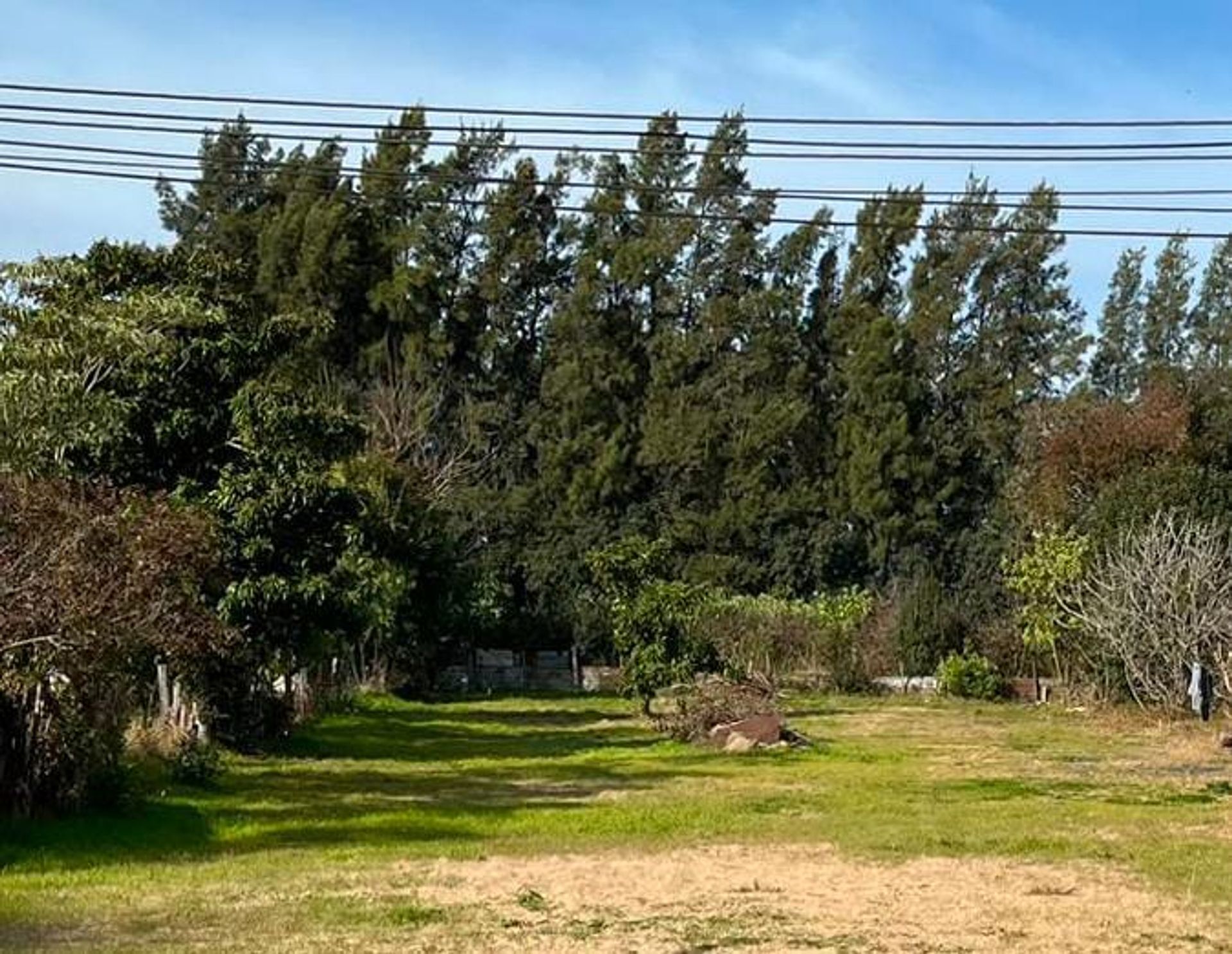 Terreno en excelente ubicación muy amplio 1033 m2 - foto 3
