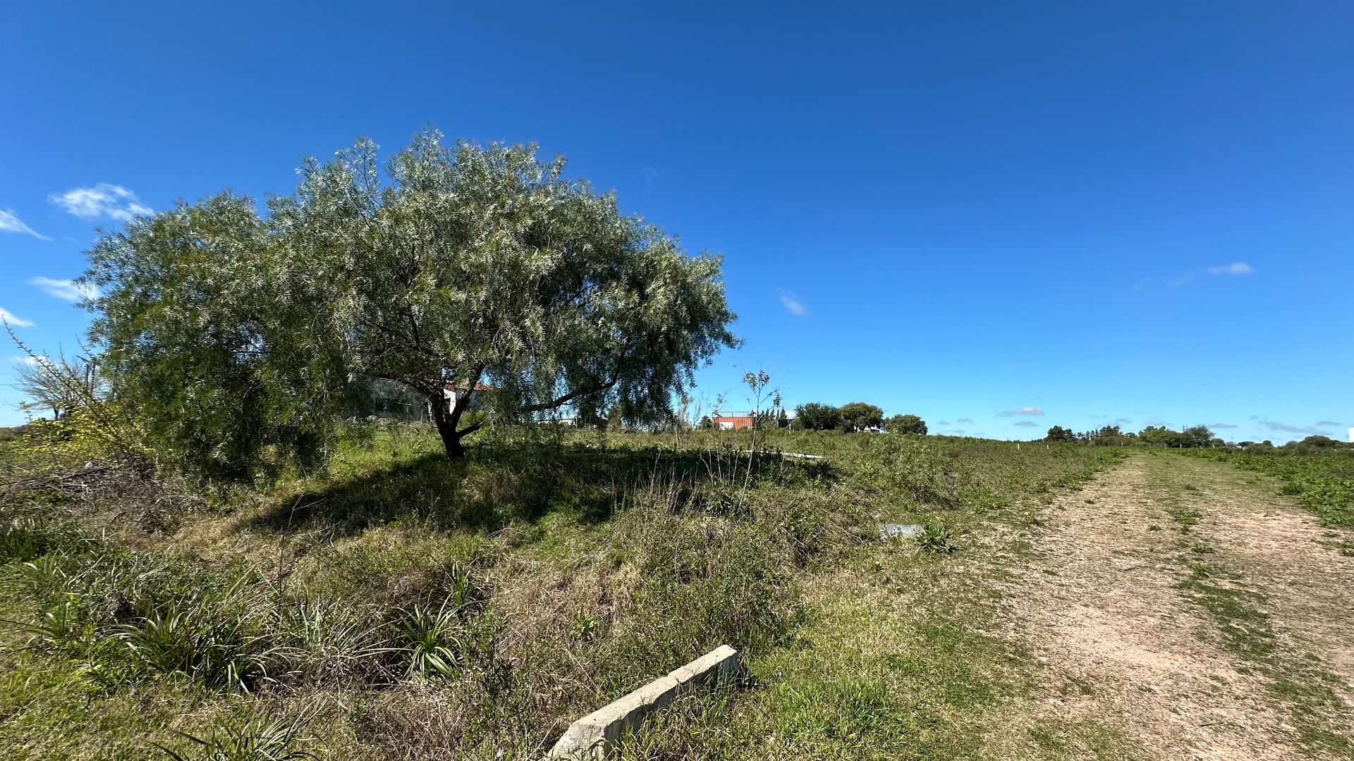 TERRENO EN VENTA EN PAYSANDÚ, REPÚBLICA DE BOLIVIA - foto 3