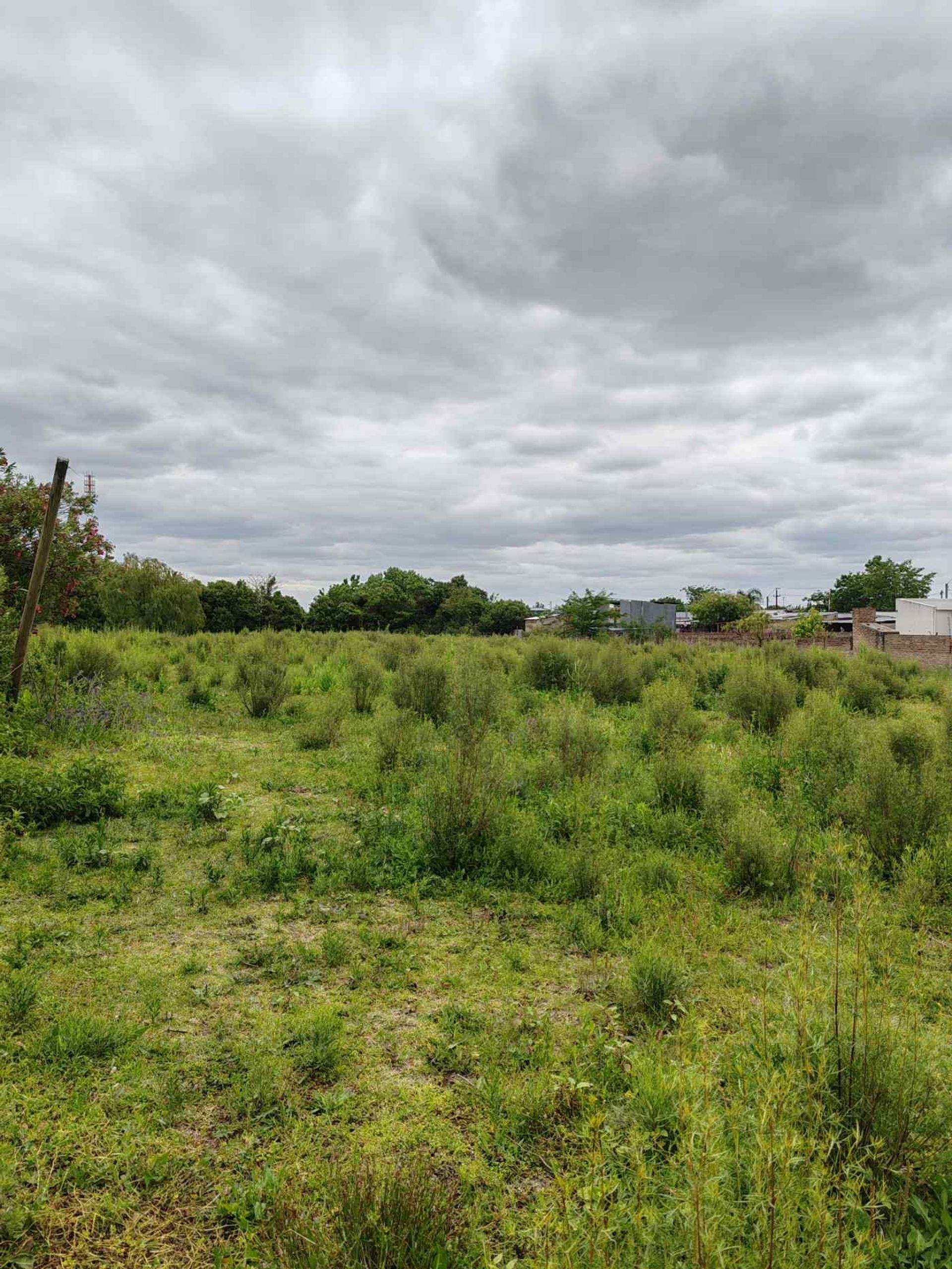Gran terreno de 8,181 m² ideal para inversión - foto 1
