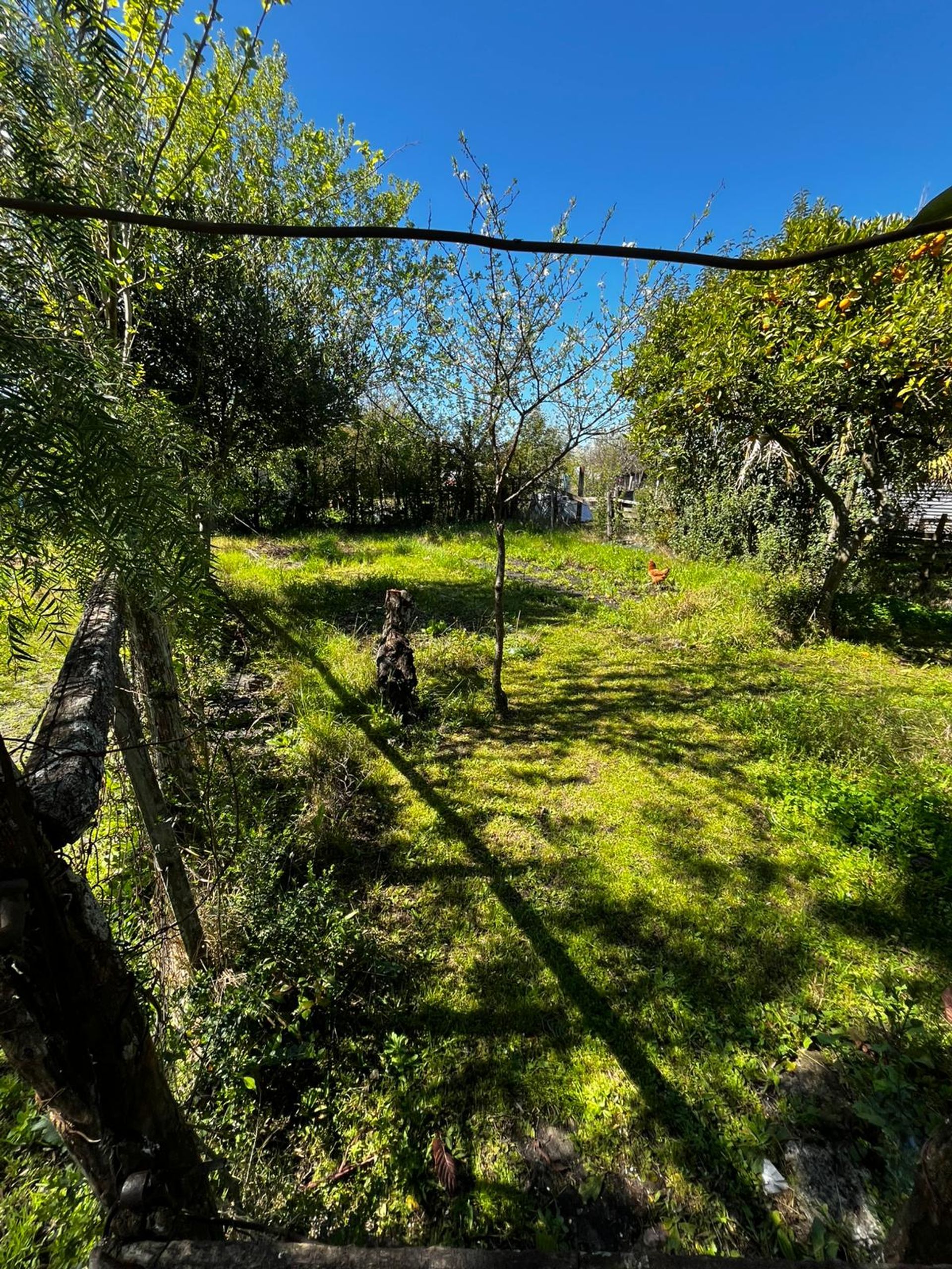 Casa en alquiler piedras coloradas · Foto 8