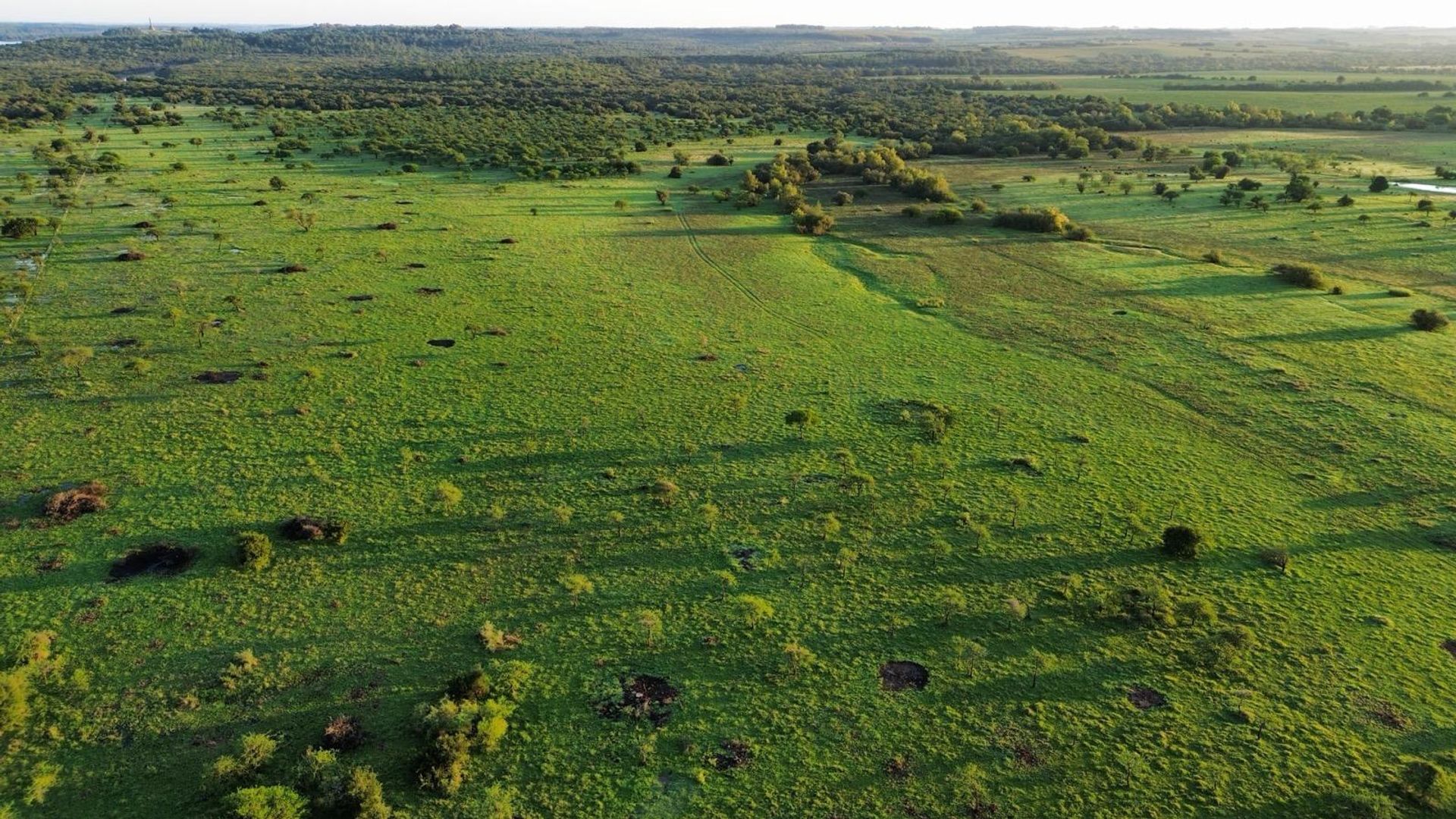 CAMPO 180 HAS. AGRICOLA GANADERO PAYSANDU - foto 2