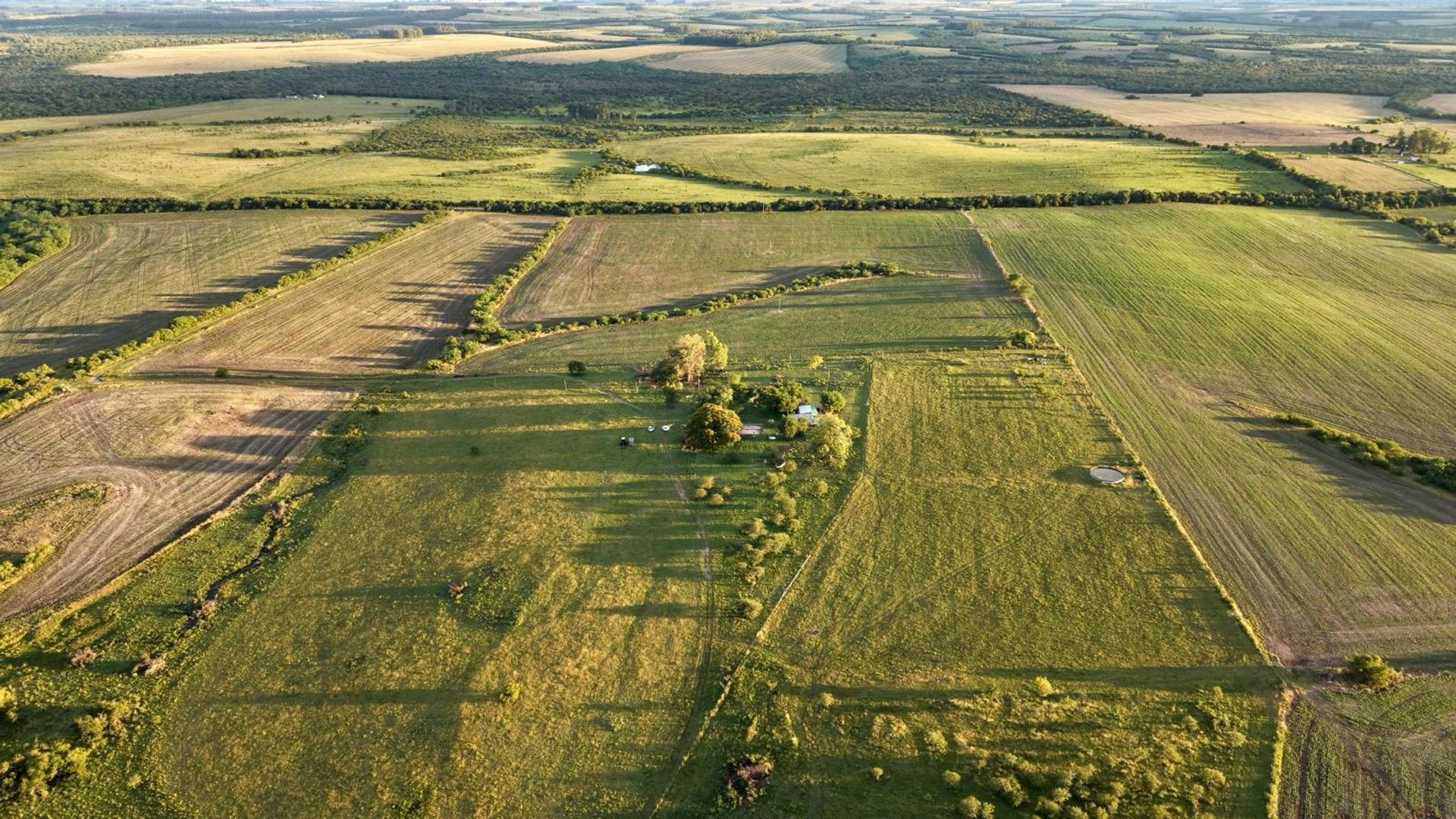 CAMPO 180 HAS. AGRICOLA GANADERO PAYSANDU - foto 1