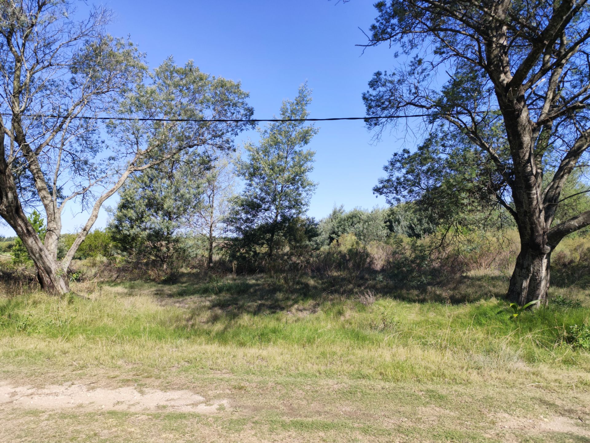 Terreno de Una Hectárea en El Ensueño - Los Aromos - foto 4