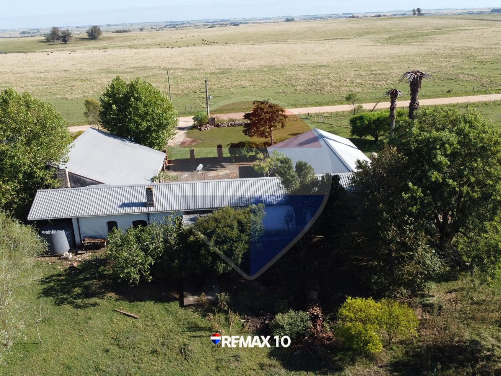 Chacra de 9 hectáreas con múltiples construcciones - foto 4