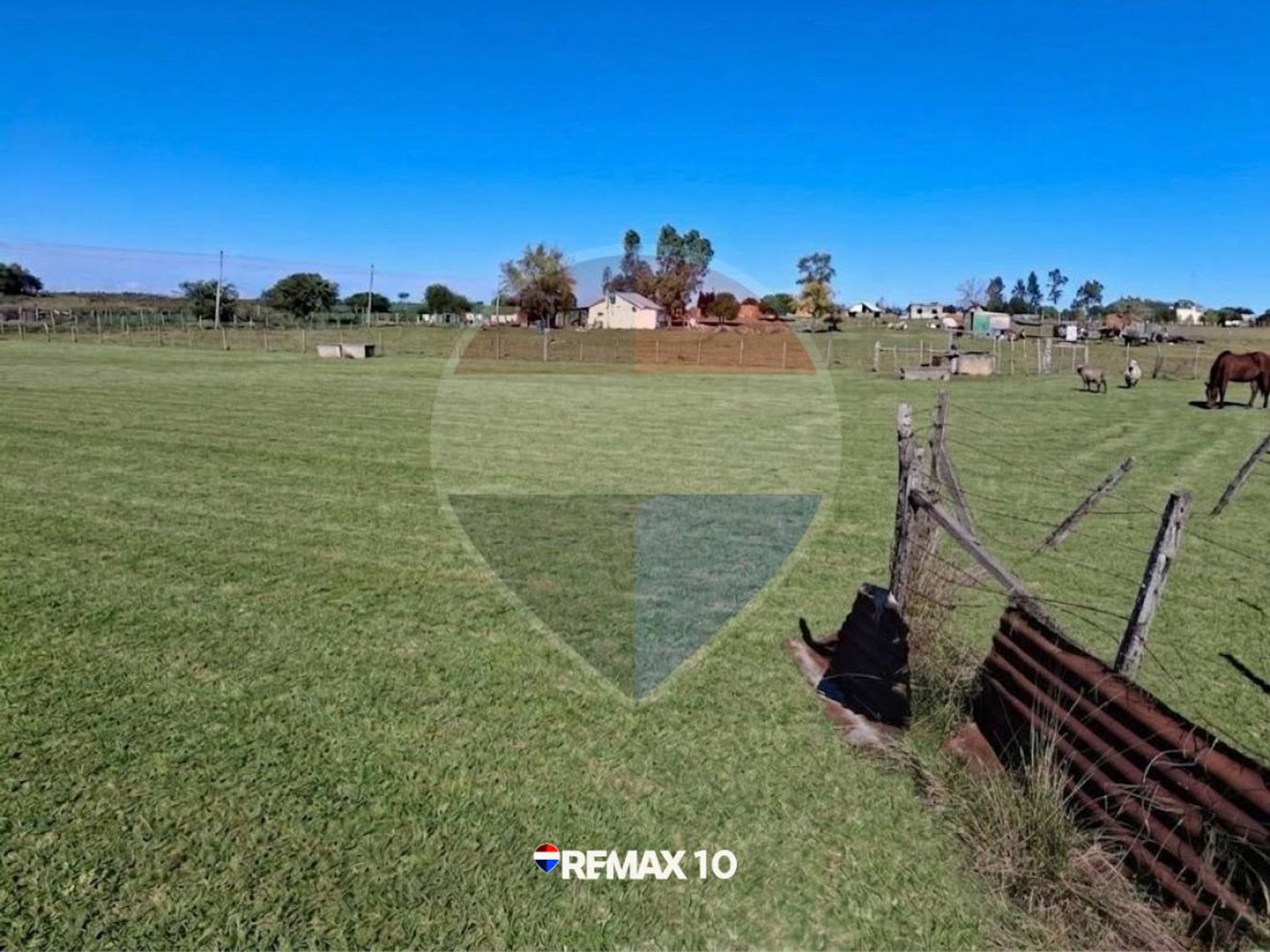 Oportunidad Chacra de 2 Hectáreas en Venta - foto 3