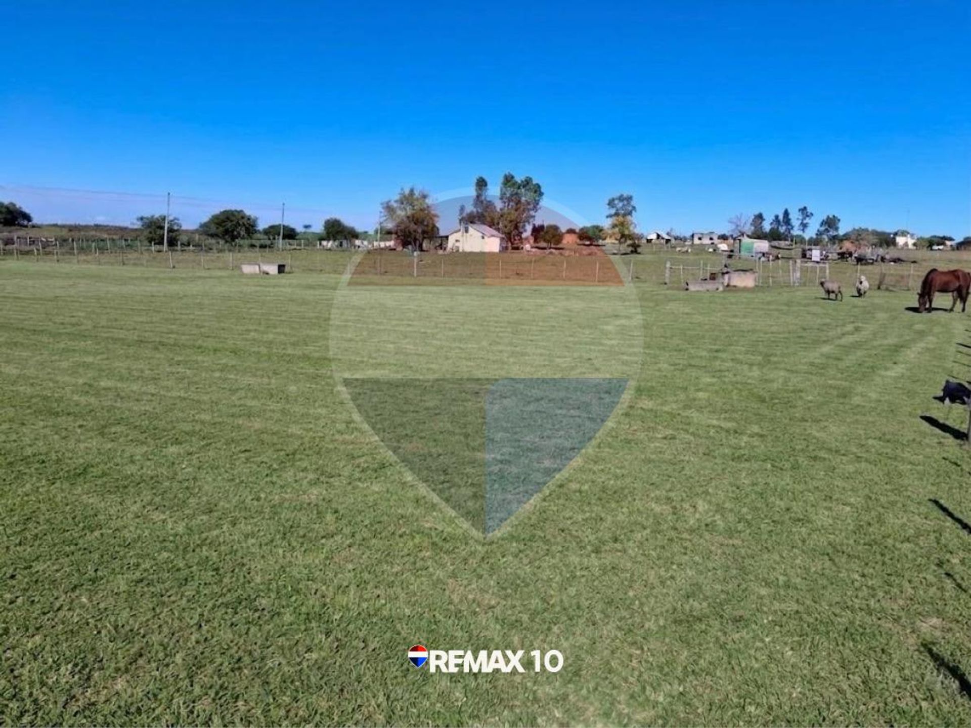 Oportunidad Chacra de 2 Hectáreas en Venta - foto 5