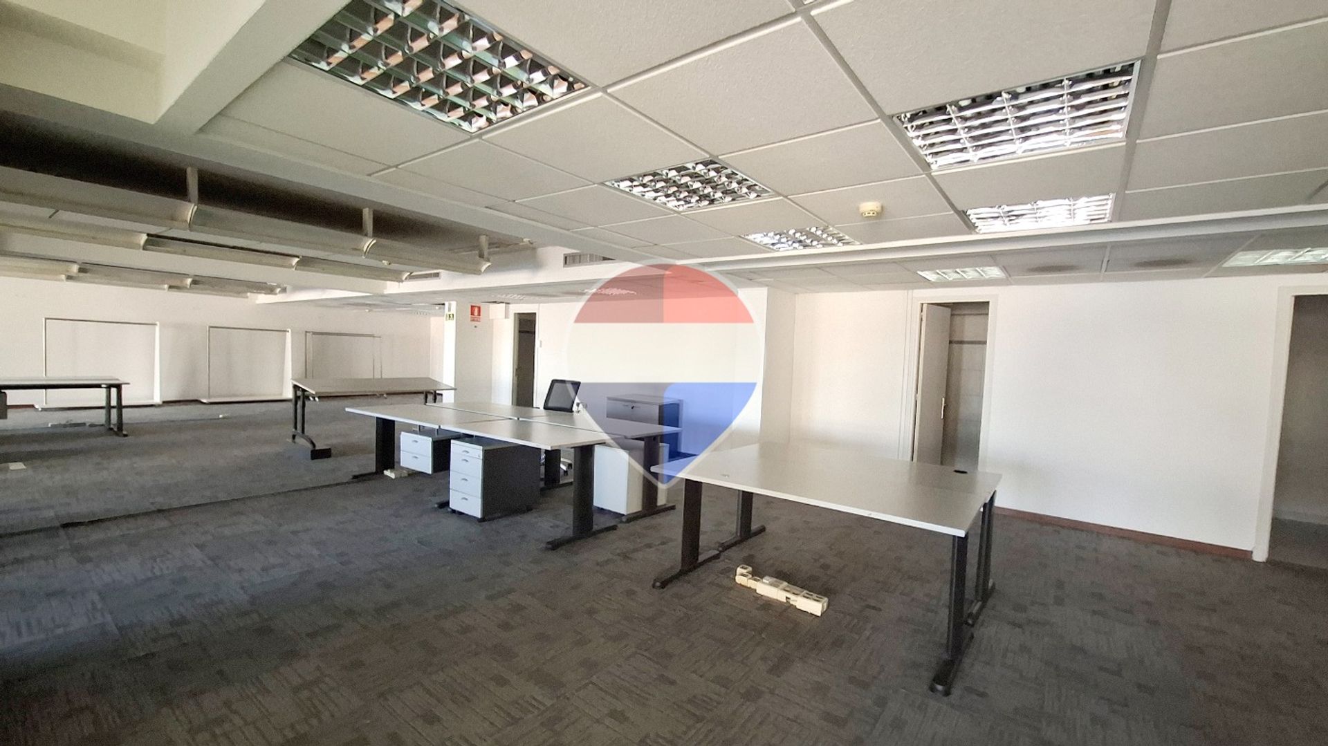 Alquiler Oficina 573 m² | Plaza Independencia · Foto 6
